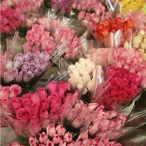 Meet your Posher, Addison